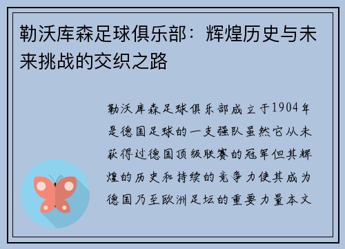 勒沃库森足球俱乐部：辉煌历史与未来挑战的交织之路